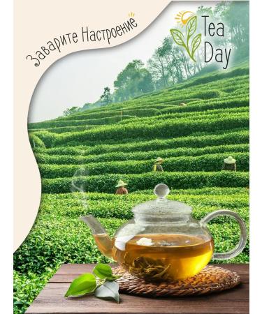 tea day Gift set of tea 12 cans - Buy Online on GoSupps.com