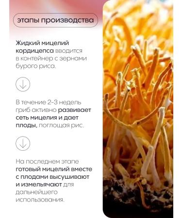 VitoBox Cordyceps Militaris 120 capsules - Buy Online on GoSupps.com