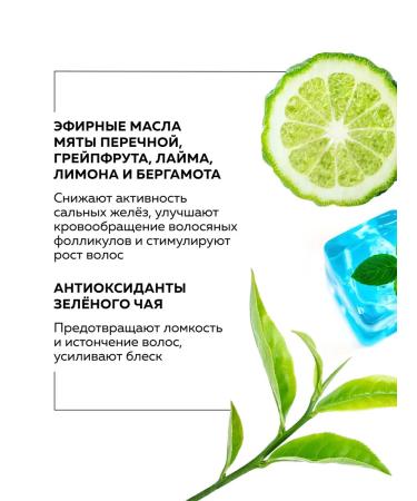 Greennova shampoo for oily hair refreshing 1000 ml - Buy Online on GoSupps.com