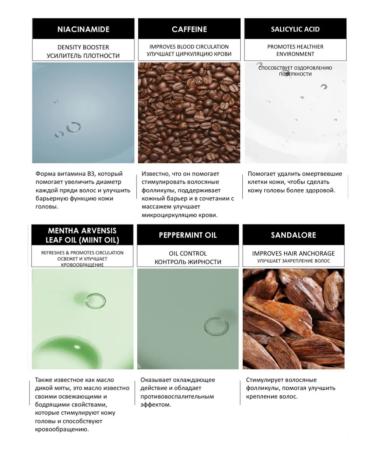 NIOXIN Cleaning shampoo system #2 1000ml - Buy Online on GoSupps.com