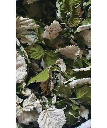 Useful herbs Raspberry leaves 40g - Buy Online on GoSupps.com