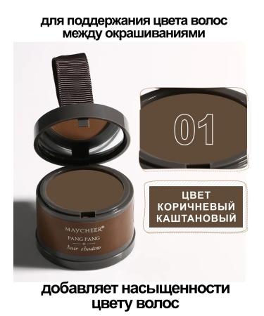 SIEAI Powder for painting hair and eyebrows masking gray hair - Buy Online on GoSupps.com