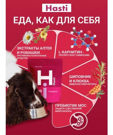 Hasti Dry food super-premium class for adult dogs - Buy Online on GoSupps.com
