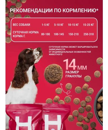 Hasti Dry food super-premium class for adult dogs - Buy Online on GoSupps.com