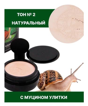 Original Korean cosmetics Tonal Kushon with snail mucin tone 02 - Buy Online on GoSupps.com