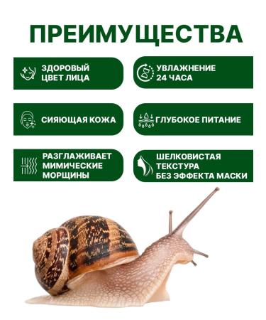 Original Korean cosmetics Tonal Kushon with snail mucin tone 02 - Buy Online on GoSupps.com