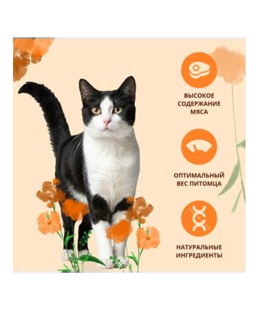 Almo Nature Adult cat food with adult chicken Fresh CHICKEN 12 kg - Buy Online on GoSupps.com