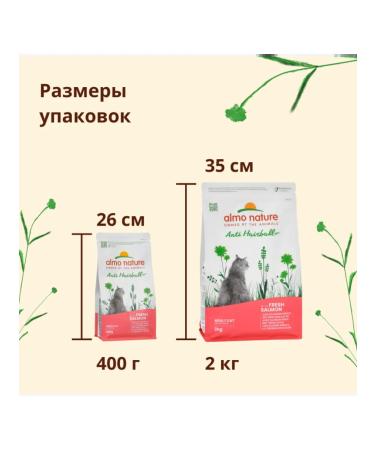 Almo Nature Adult cat food with salmon Salmon Anti Hairball 2kg - Buy Online on GoSupps.com
