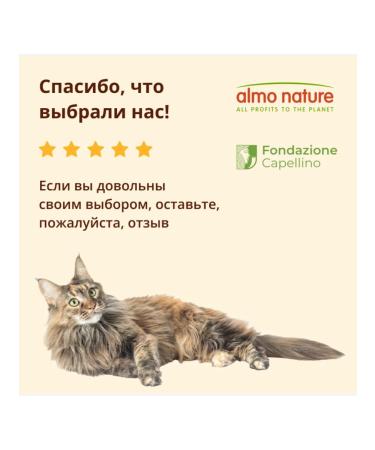 Almo Nature Adult cat food with salmon Salmon Anti Hairball 2kg - Buy Online on GoSupps.com