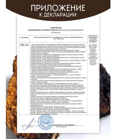 CHAGA FOOD Chaga birch lump for immunity - Buy Online on GoSupps.com