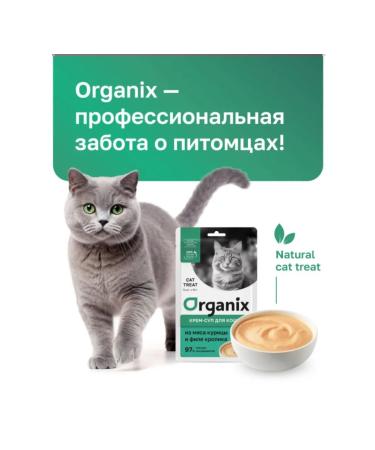 Organix Cream-soup for kittens and cats chicken and rabbit 75g - Buy Online on GoSupps.com