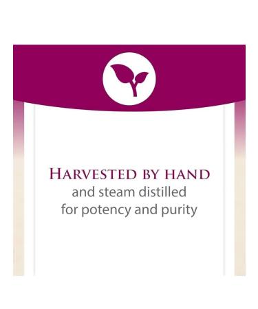 Natural Factors Oorgano oil - Buy Online on GoSupps.com