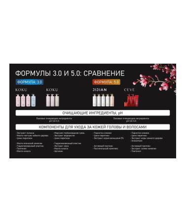 JIJIAN Shampoo for oily scalp with active protein J2 - Buy Online on GoSupps.com