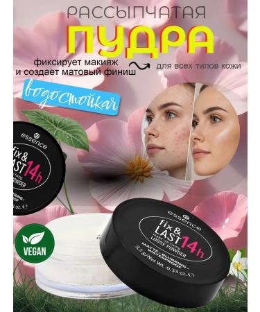  Brutrained powder Essence Fix & Last 14h (fixing) - Buy Online on GoSupps.com