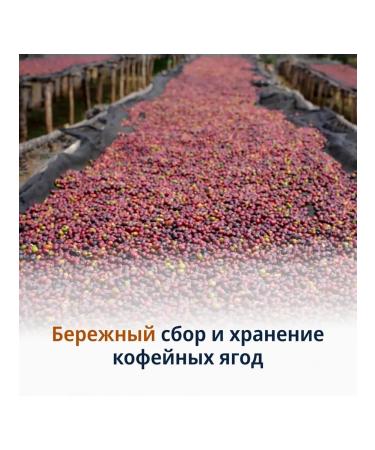 Delonghi Signature Espresso Light 1 kg coffee - Buy Online on GoSupps.com