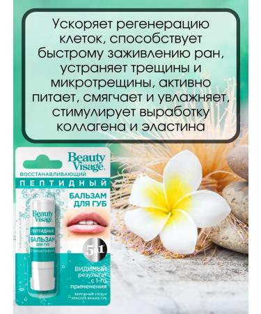 PHYTOCOSMETIC Hygienic lipstick moisturizing balm - Buy Online on GoSupps.com