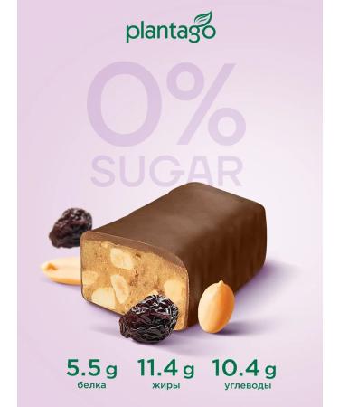 Plantago Walnut bars without sugar in chocolate peanut raisins 12 pcs - Buy Online on GoSupps.com