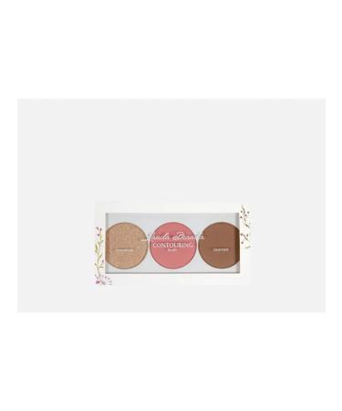 Landa Branda Palette for contouring