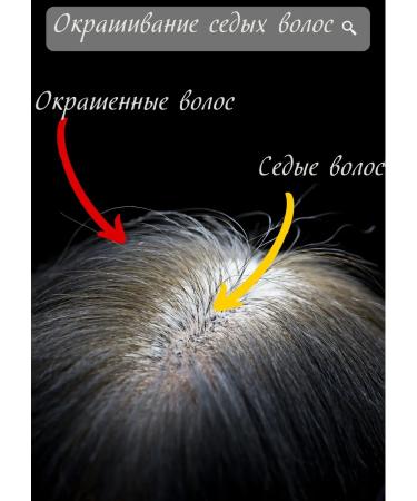 WELLA PROFESSIONALS Hair dye Koleston Perfect 6 0 - Buy Online on GoSupps.com