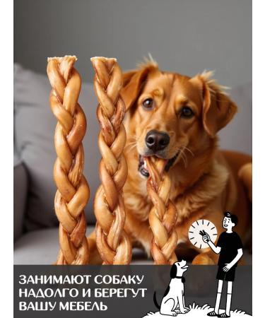 FOR RODENT DOG Dog treats bull root (pigtail) 30 cm 300 g - Buy Online on GoSupps.com