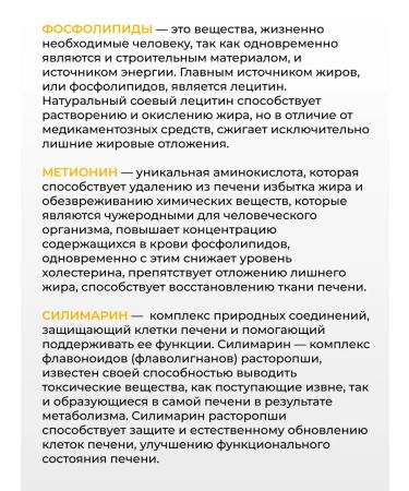 STMFARM Lithuania Forte m phospholipids milk thistle and methionine No. 90 - Buy Online on GoSupps.com