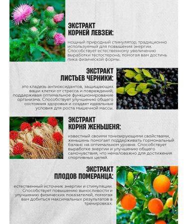 Balace Tribusterone Testosterone for sports in capsules - Buy Online on GoSupps.com