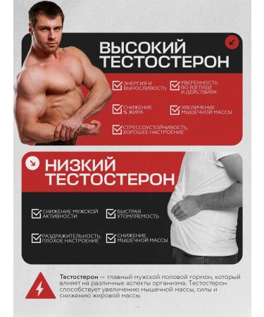 VIS MEDICUS Test Restore Testosterone for Men for Sports - Buy Online on GoSupps.com