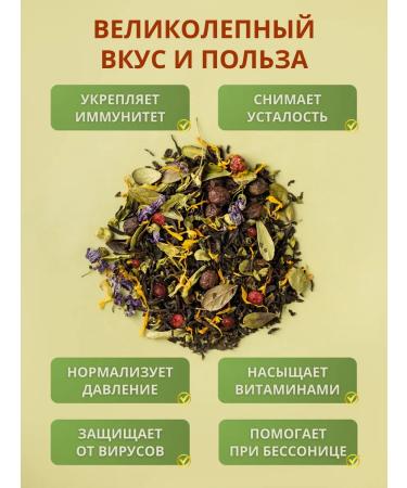 WALNUT Taiga collection black in the bank Gift - Buy Online on GoSupps.com