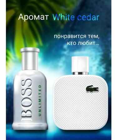 AUGENBLICK Cream for body and hands perfumed White Cedar - Buy Online on GoSupps.com