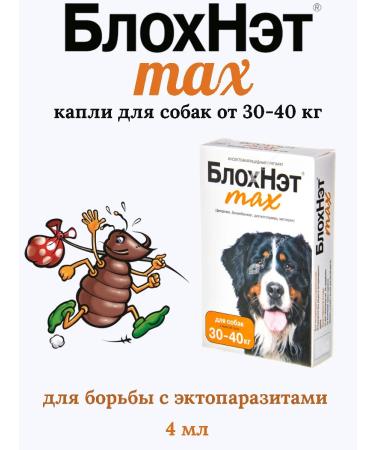 Astrapharm Blochnet Max Drops for dogs from 30 to 40 kg