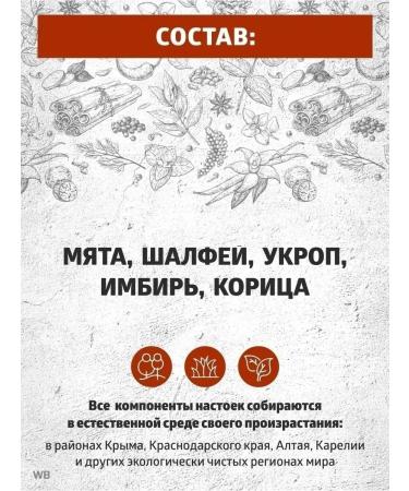 EthnoWorld Tinctures for moonshine mint from 5 liters! - Buy Online on GoSupps.com