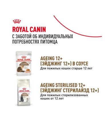 ROYAL CANIN Wet food for elderly cats 12+ years jelly 85 g 28 pcs - Buy Online on GoSupps.com