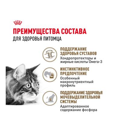 ROYAL CANIN Wet food for elderly cats 12+ years jelly 85 g 28 pcs - Buy Online on GoSupps.com