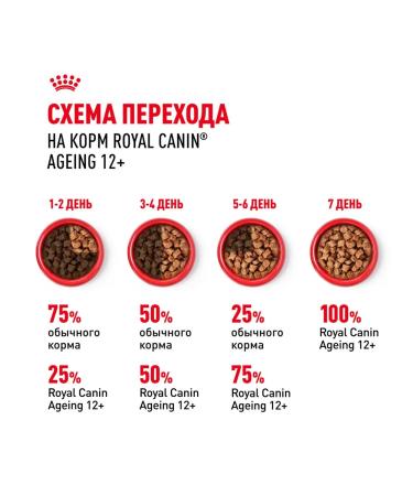 ROYAL CANIN Wet food for elderly cats 12+ years jelly 85 g 28 pcs - Buy Online on GoSupps.com