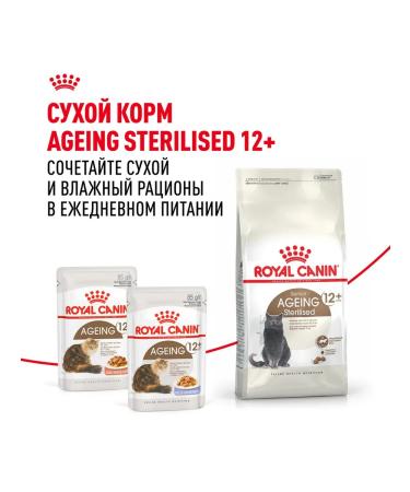 ROYAL CANIN Wet food for elderly cats 12+ years jelly 85 g 28 pcs - Buy Online on GoSupps.com