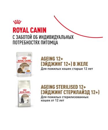 ROYAL CANIN Wet food for elderly cats 12+ years in sauce 85 g 28 pcs - Buy Online on GoSupps.com