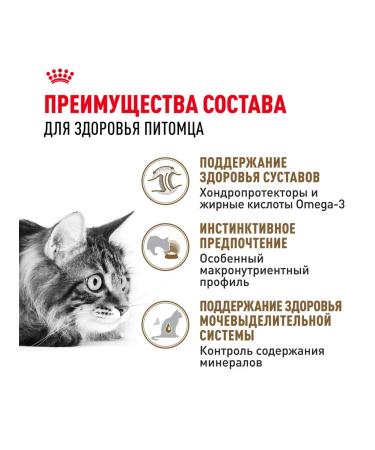 ROYAL CANIN Wet food for elderly cats 12+ years in sauce 85 g 28 pcs - Buy Online on GoSupps.com