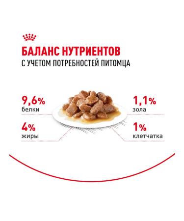 ROYAL CANIN Wet food for elderly cats 12+ years in sauce 85 g 28 pcs - Buy Online on GoSupps.com