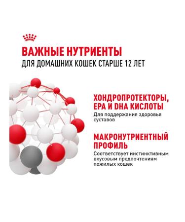 ROYAL CANIN Wet food for elderly cats 12+ years in sauce 85 g 28 pcs - Buy Online on GoSupps.com