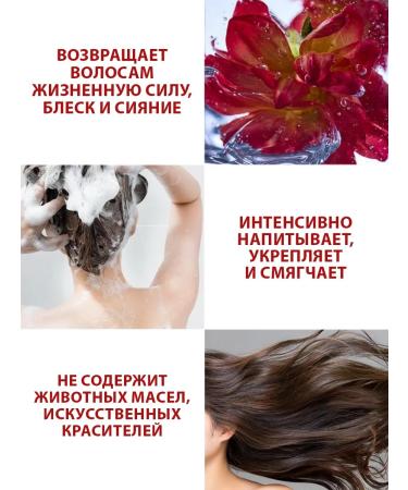 RYO Mask for brittle hair. Therapeutic 300 ml - Buy Online on GoSupps.com