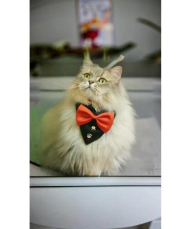 EasyMarkus Gentlemen collar elegant for dogs and cats red