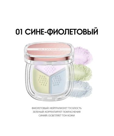 OTWOO Facial powder crumbly corrective premium No. 01