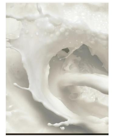 AISHOP Milk & Honey Gold sugar sugar - Buy Online on GoSupps.com