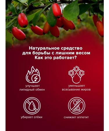 ALTAIVITA Berberin for weight loss with chrome - Buy Online on GoSupps.com