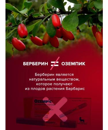 ALTAIVITA Berberin for weight loss with chrome - Buy Online on GoSupps.com