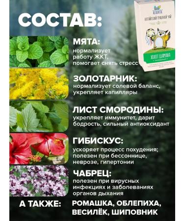 ALTAIVITA Herbal tea in pyramids laughter shaman 40 g 10 pyramids - Buy Online on GoSupps.com