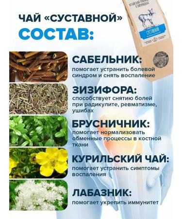 ALTAIVITA Joint herbal tea (with arthrosis) in pyramids - Buy Online on GoSupps.com