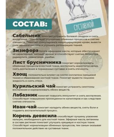 ALTAIVITA Joint herbal tea (with arthrosis) in pyramids - Buy Online on GoSupps.com