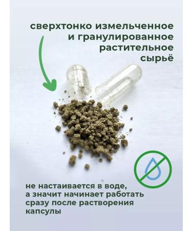 ALTAIVITA Siberian siblon for joints in capsules 30 capsules - Buy Online on GoSupps.com