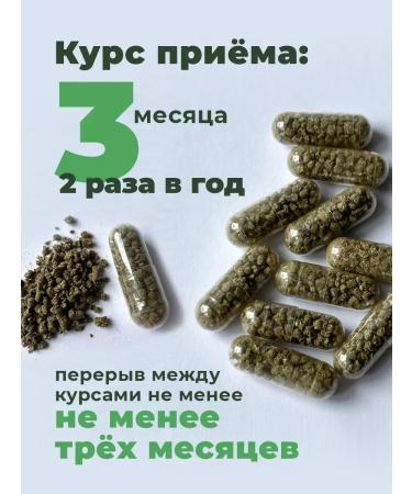 ALTAIVITA Siberian Siberian Sitman for joints in capsules 6 cans-30 capsules - Buy Online on GoSupps.com